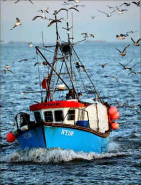 Fishing Trawler